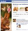 <i>Walnüsse aus Kalifornien</i> sind jetzt auch bei Facebook