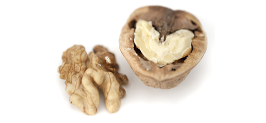 Walnüsse - eine Handvoll am Tag für Ihre Gesundheit! Die wertvollen Omega 3-Fettsäuren in Walnüssen können das Herz schützen, wie zahlreiche Studien zu Walnüssen belegen.