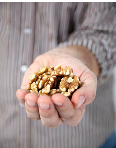 Die Walnuss steckt voller gesunder, wichtiger N&auml;hrstoffe. Sie ist die einzige Nuss, die eine bedeutende Menge an lebenswichtigen Omega 3-Fetts&auml;uren beinhaltet - 9g pro 100g Walnuss.