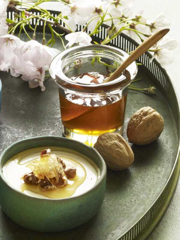 Panna Cotta aus griechischem Joghurt mit Honig und Walnüssen